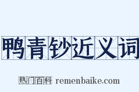 鸭青钞近义词是什么意思的图片